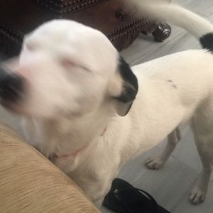 Meet your Posher, Mariola